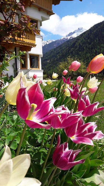 Landhaus Alpensonne Neustift im Stubaital Εξωτερικό φωτογραφία